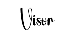 Visor - logo